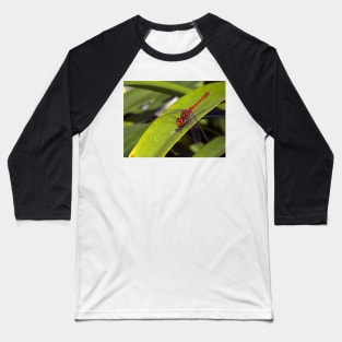 Red Dragonfly Baseball T-Shirt